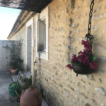 Le Figuier דירה