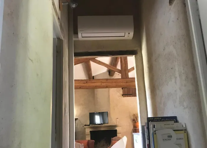 Le Figuier