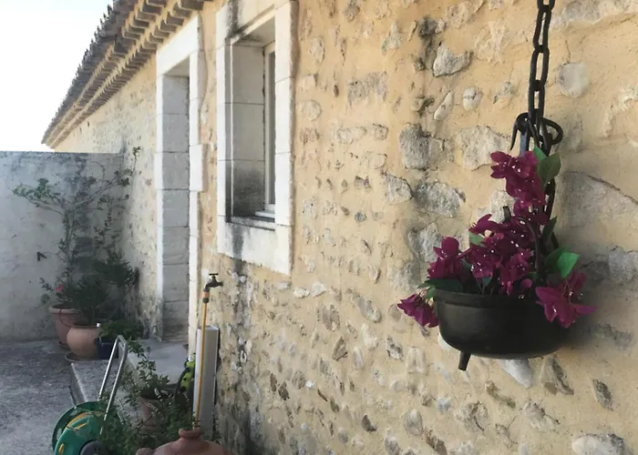 Le Figuier Appartement