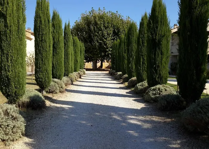 Le Figuier *